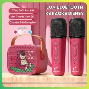 Loa Karaoke Mini Disney D20